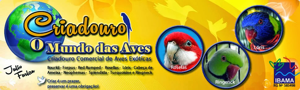 Criadouro O Mundo das Aves