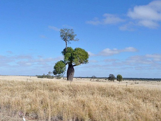Oheunchadiary Australia Scenery