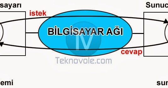 Hollywood gülümseme sırrı: diş macunu Sensodin 15