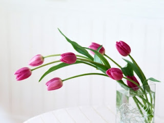 Tulipán, una flor con historia - tulipanes violeta en florero