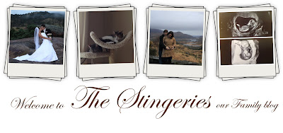 The Stingeries