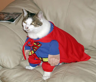 The Super Cat