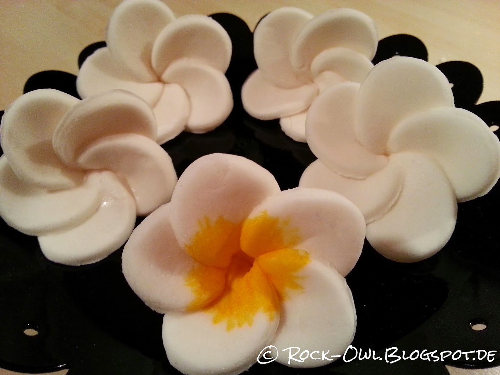 Rock and Owl Blog Sweet Frangipani Die Südsee zum Vernaschen )