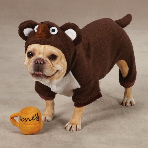 Dog halloween dresses