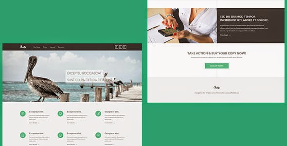 Responsive CSS3 and HTML5 Website Templates