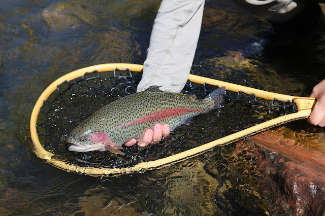 Colorado%2BFly%2BFishing%2Bwith%2BJay%2BScott%2BOutdoors%2B17.JPG