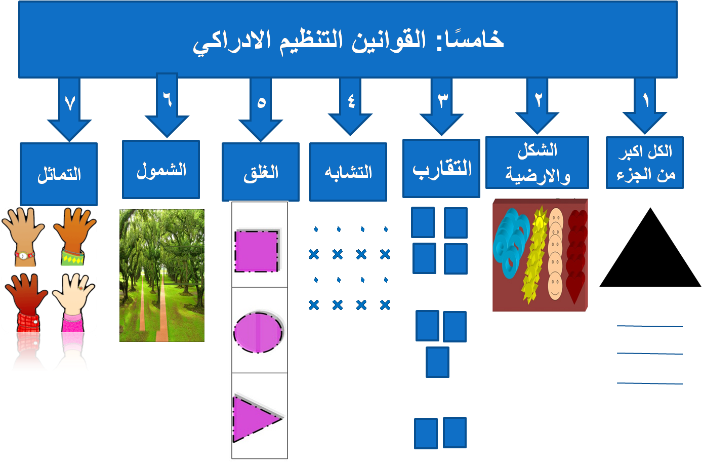 علم نفس التربوي ذ نظرية الجشطلت