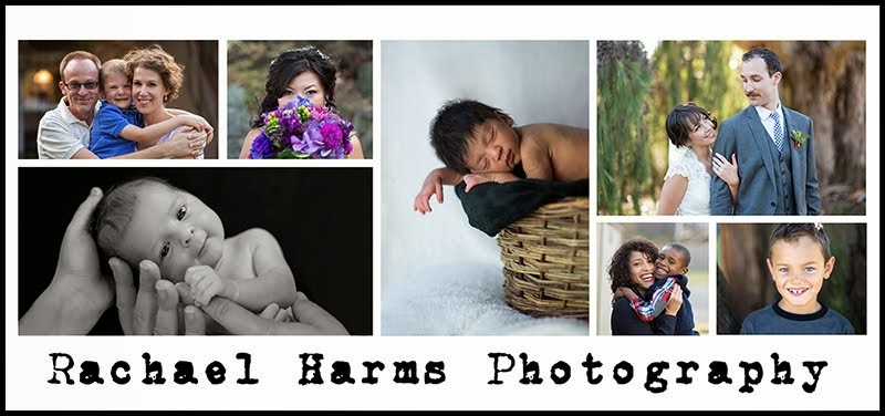 Rachael Harms Photography