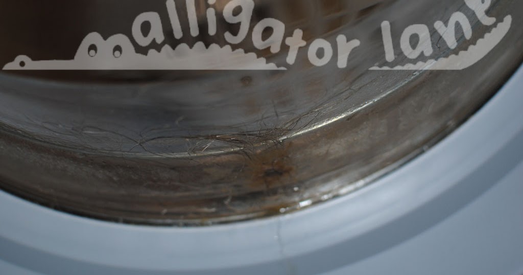 Alligator Lane The easiest and cheapest washer cleaner ever.