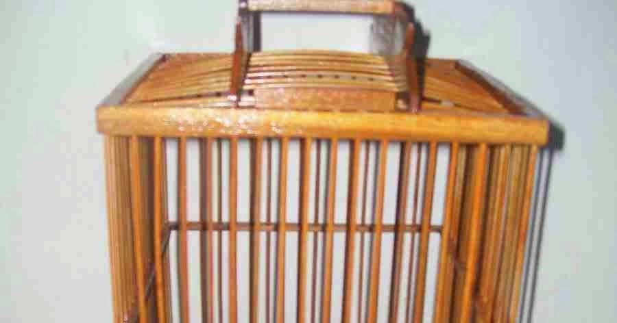 MUMTAZ SANGKAR SANGKAR BURUNG KENARI