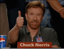 Esta pagina esta aprovada por Chuck Norris