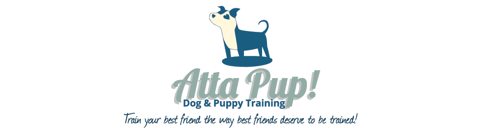Atta Pup Training Blog