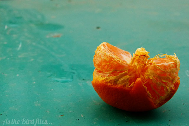 Orange%2Band%2BTurquoise.jpg