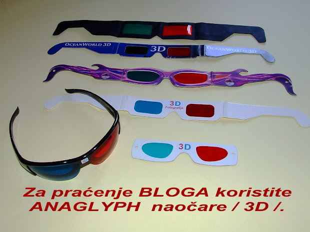 Z a dalje pračenje 3D  fotografija ,  koristite prikazane naočare