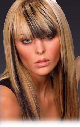 Hair Highlights Hair Highlights