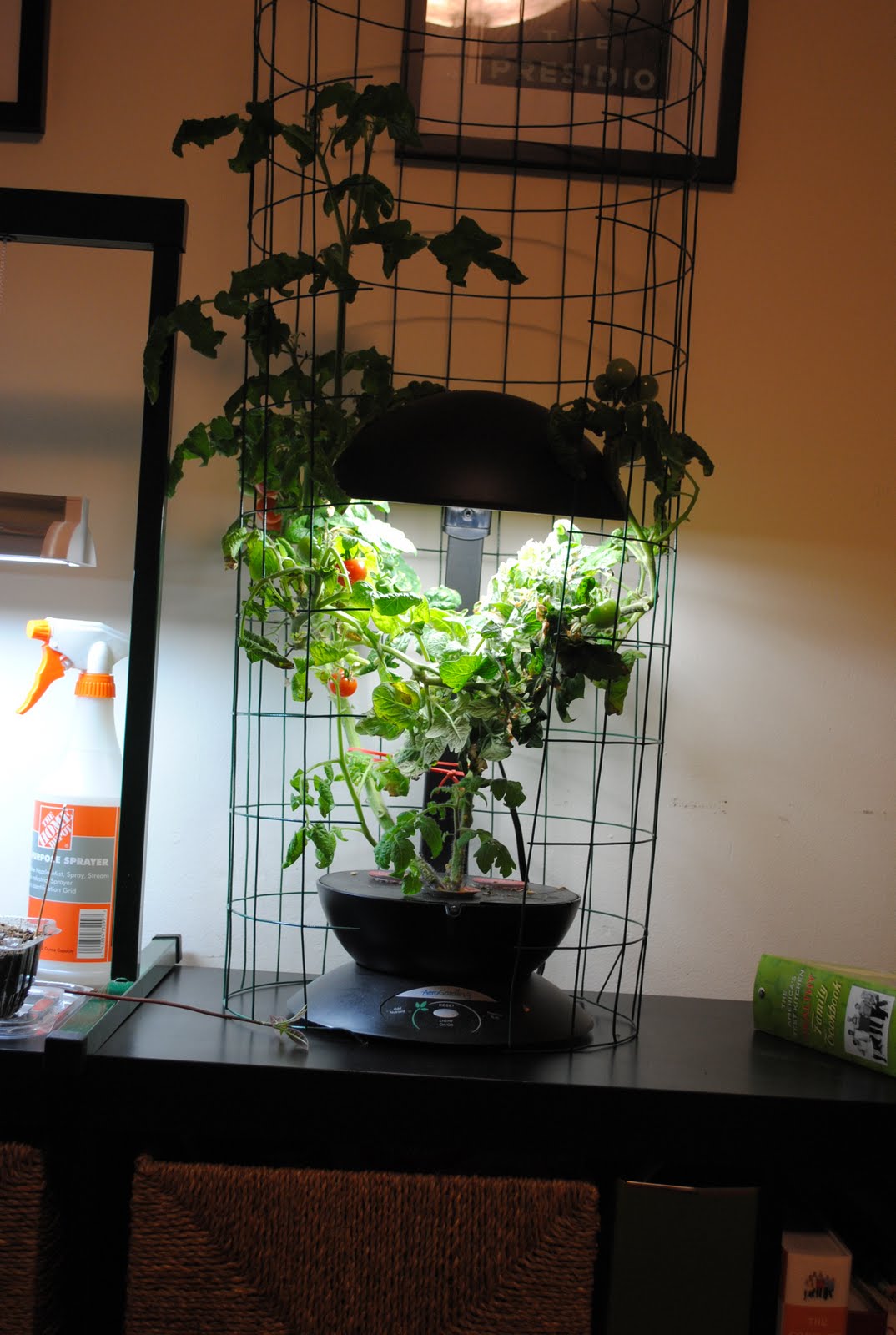 Potted Farm Aerogarden Tomato