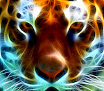 Airbrush Tiger airbrush tiger