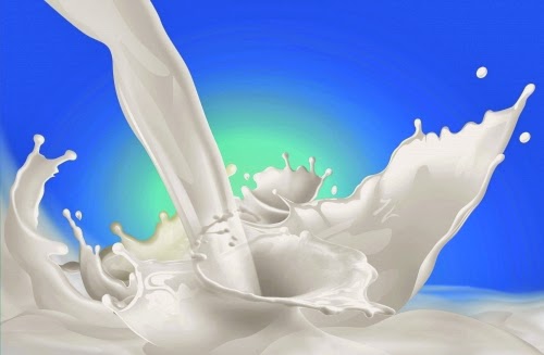 Sữa và các chế phẩm từ sữa - Thực phẩm giàu Protein