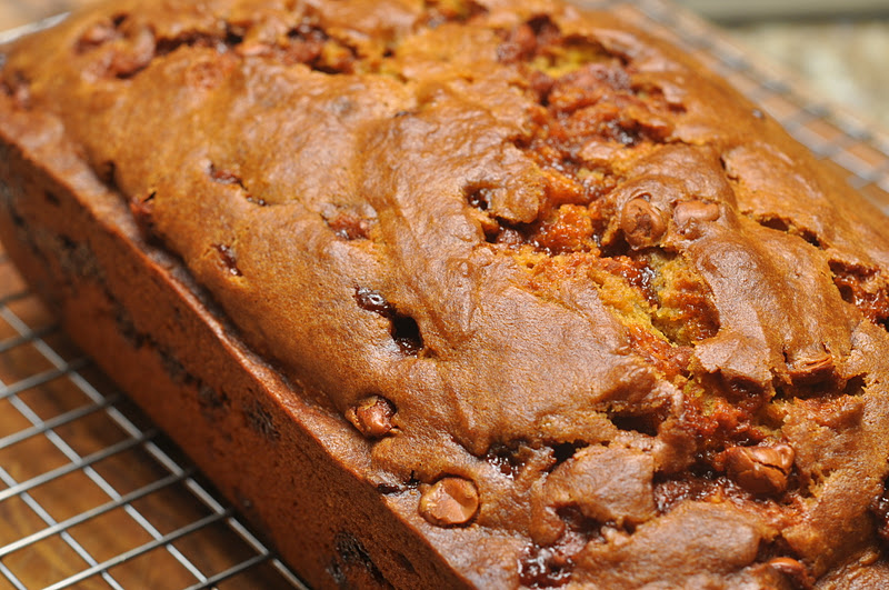 teasespoon of sugar Cinnamon Chip Pumpkin Bread