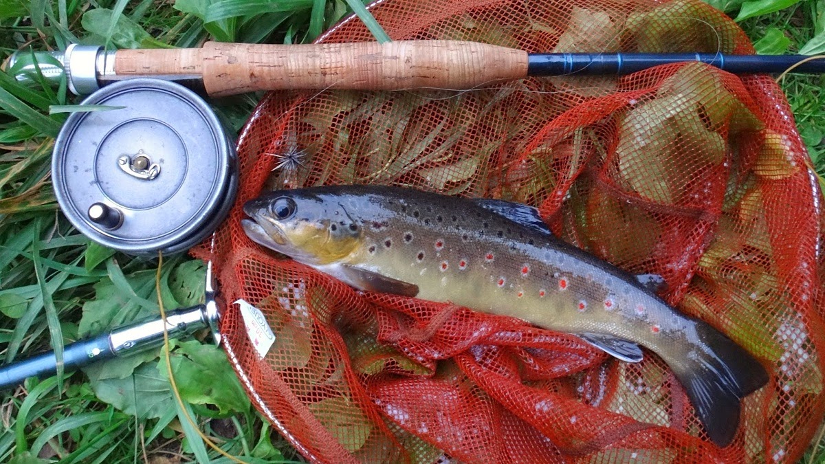 It's Tokyo Style About fly rod for Japanese trout fishing