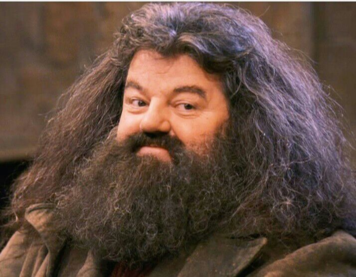 Hagrid