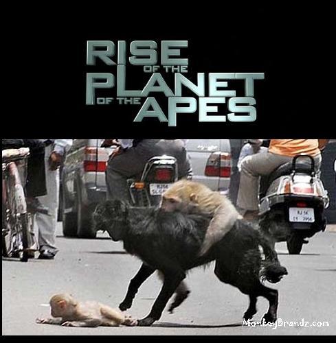 Watch Rise Download Full Watch Rise Download Full