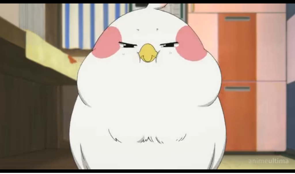 Get Weirdness Overload Tamako Market For Android Wallpaper Weirdness Overload Tamako Market Desktop Wallpaper