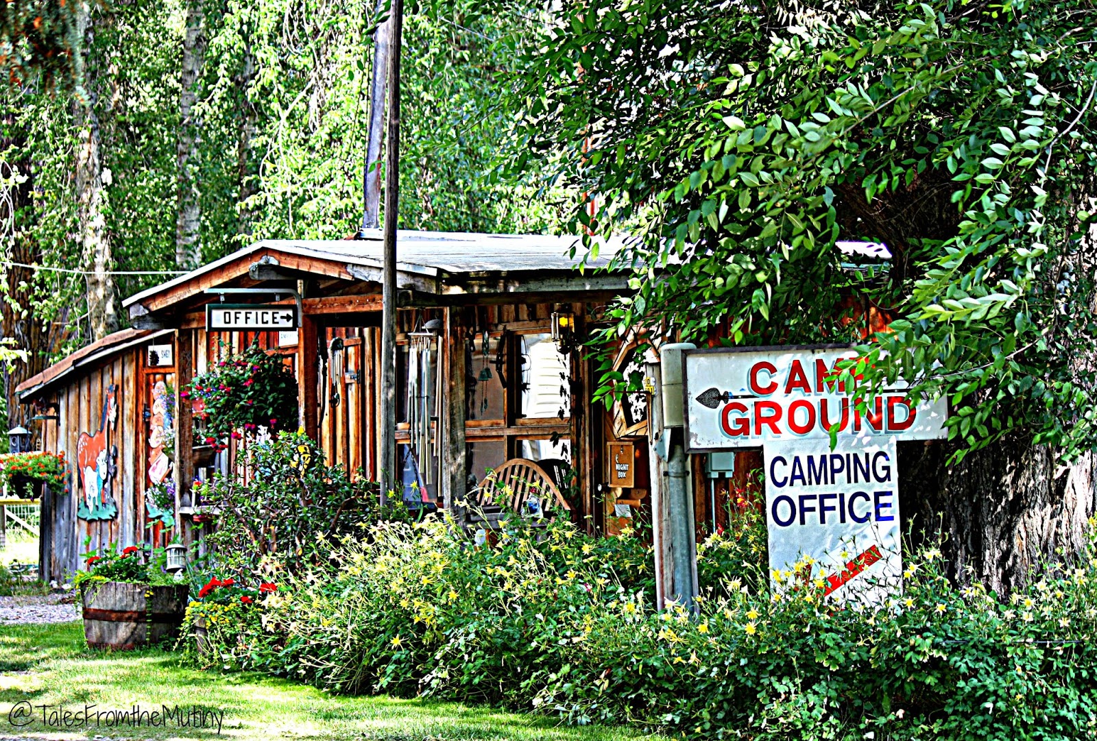 Unexpected Finds in Arlee, Montana Tales From the Mutiny