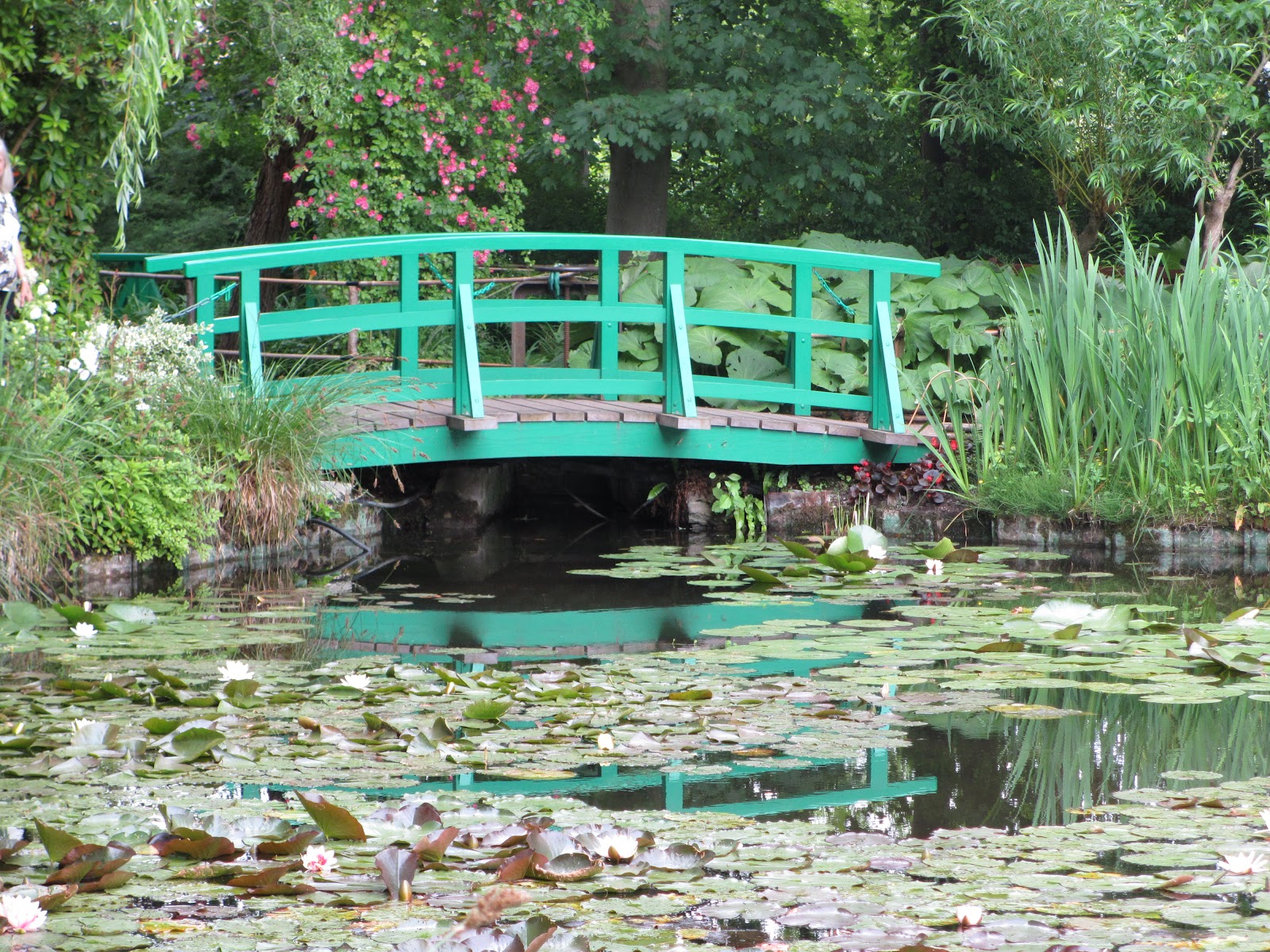 School For Us More photos from gardens"