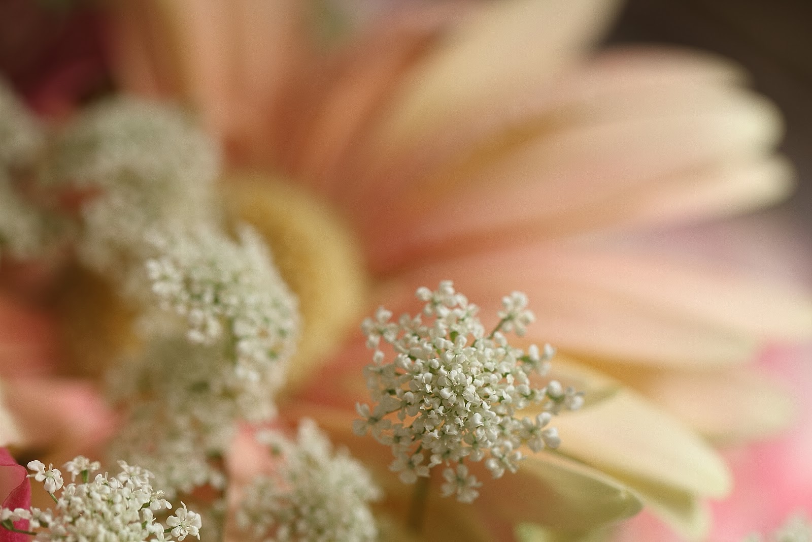 美癒 S Muse 花籠の秋意