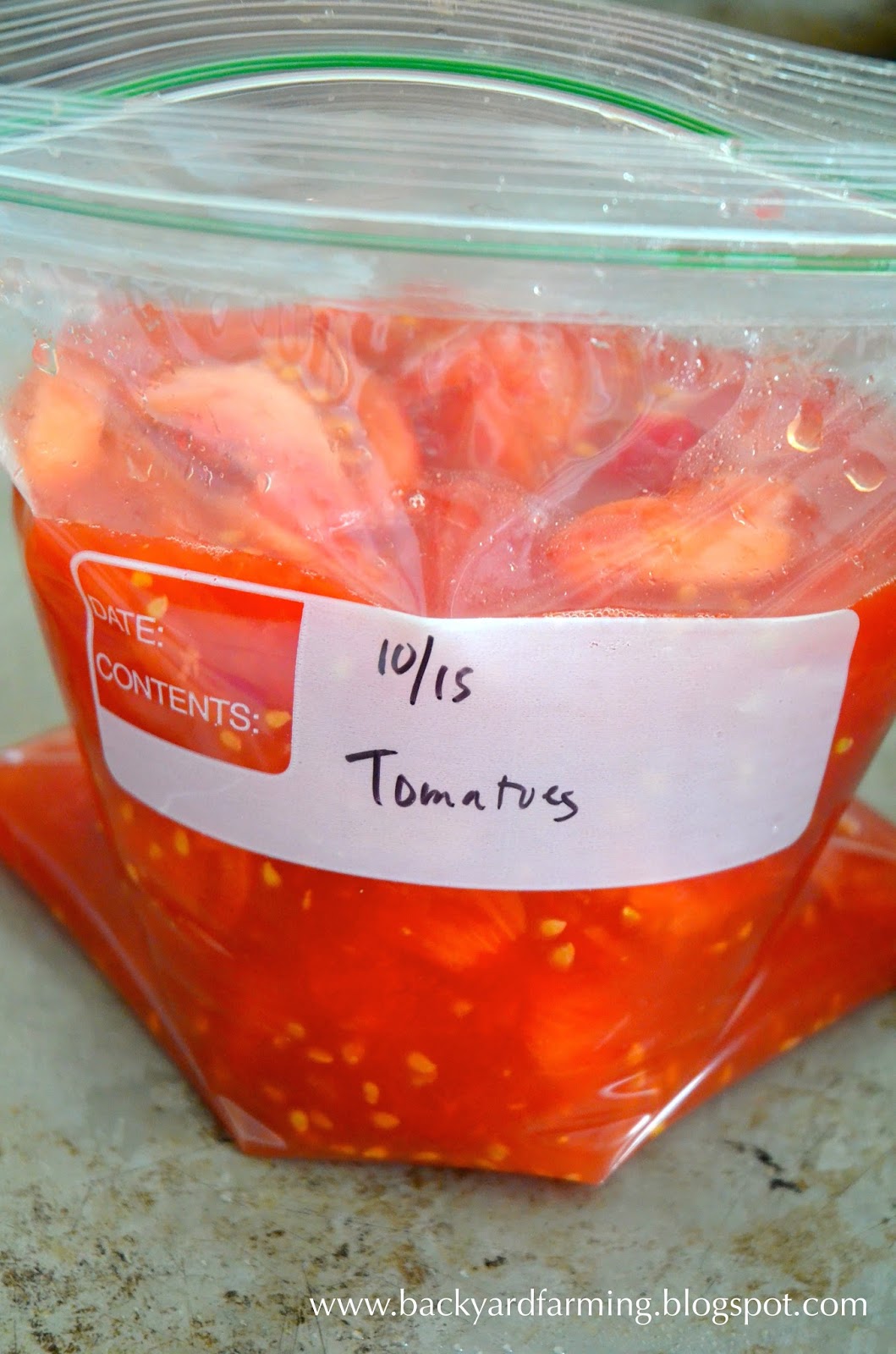 Backyard Farming Poorman's vacuum sealer, and freezing tomatoes
