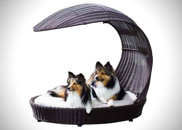 ペットベッド インテリア