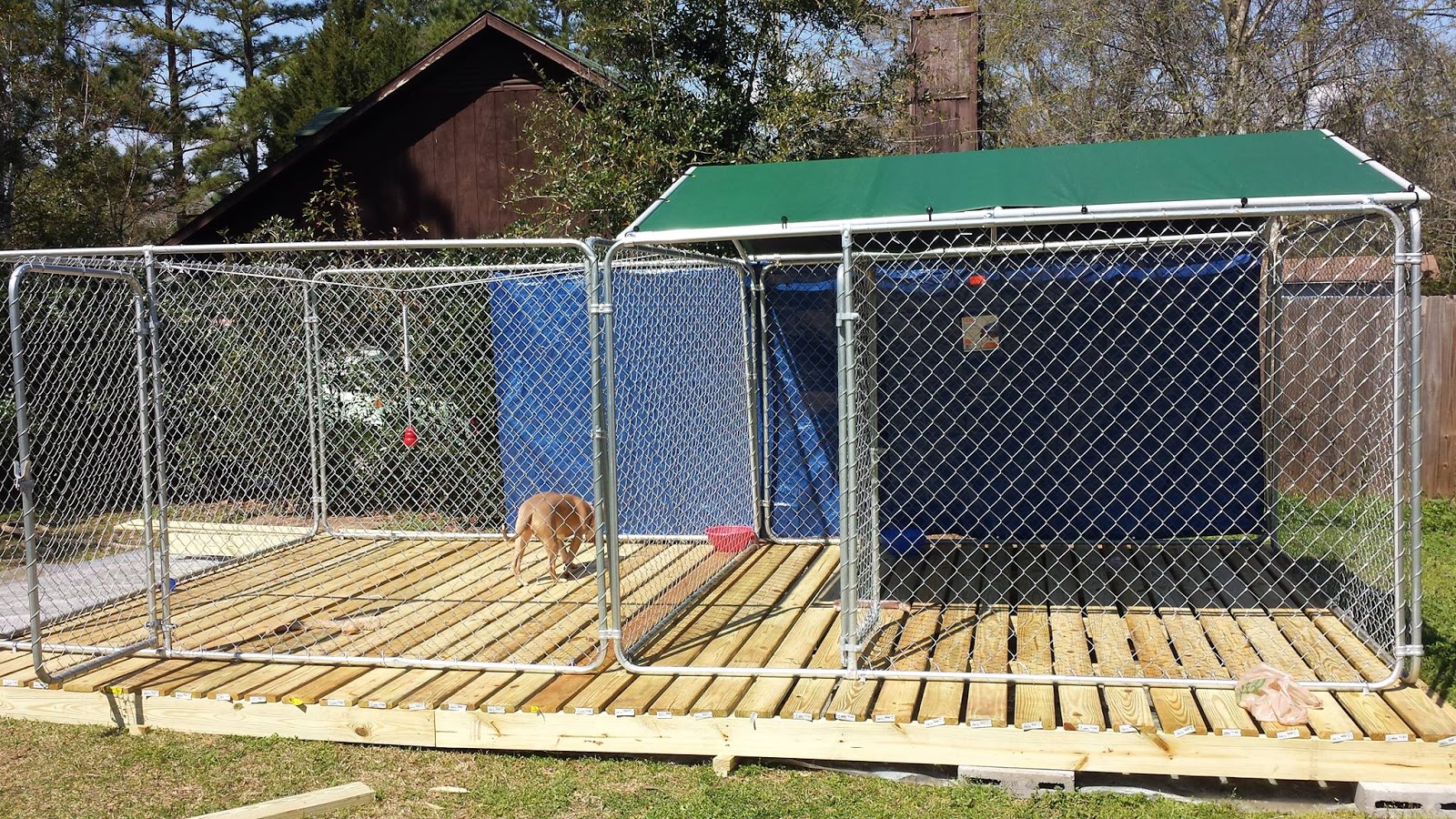 The Real APBT Dog Kennel Setups and Designs