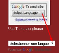 Translator