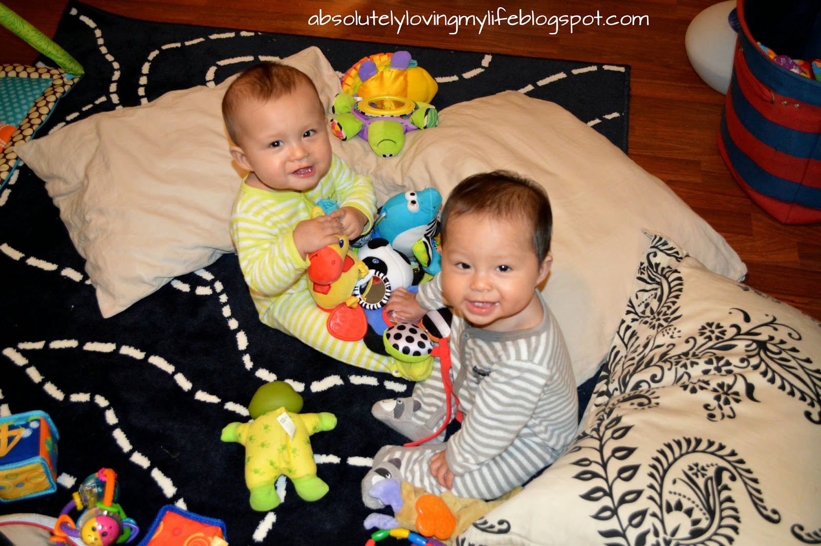 Loving Life Baby Equipment for Twins