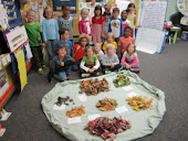 Class leaf collection 2011