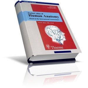 download Standards und Gütekriterien