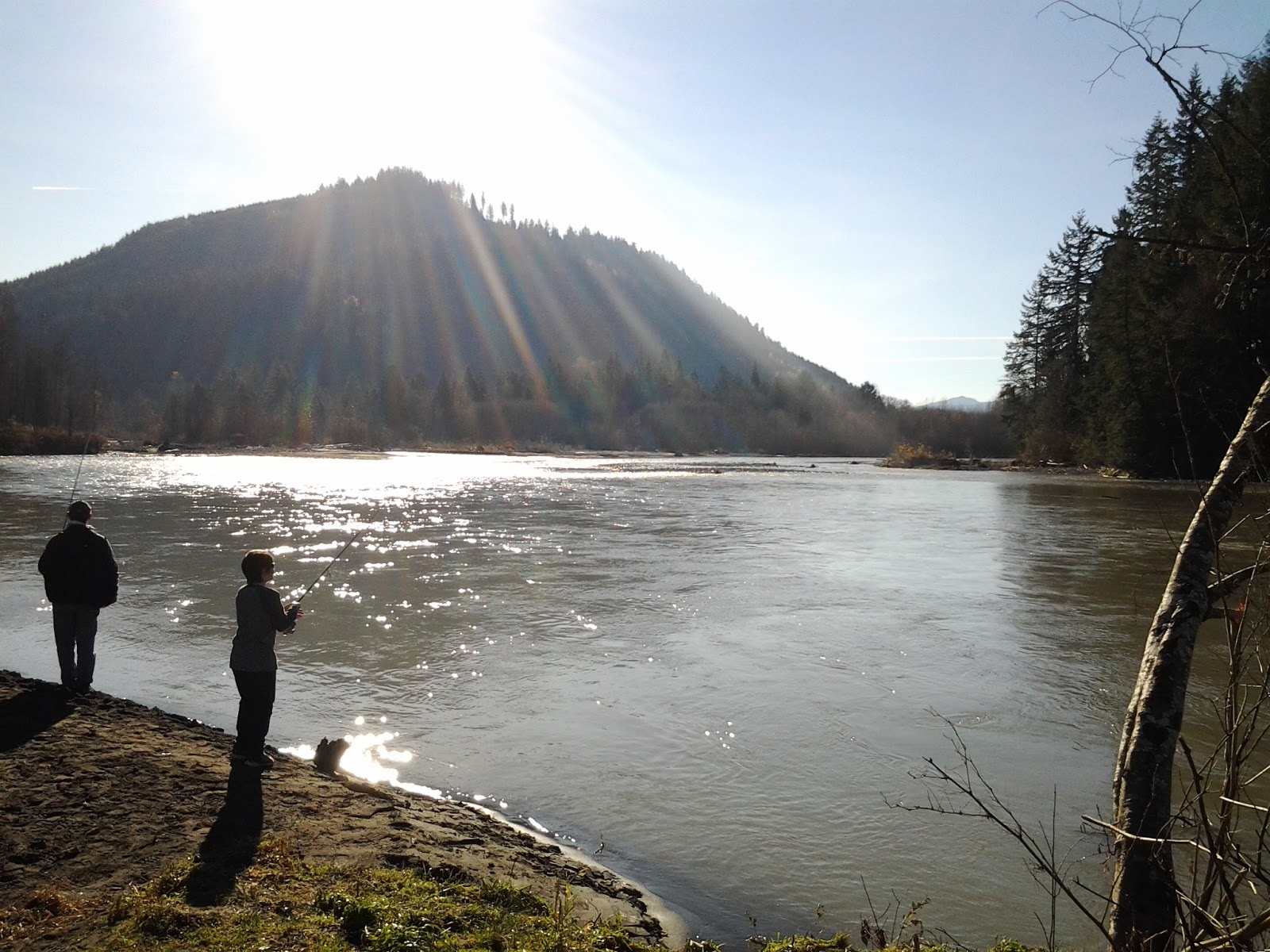 UkrainiYum! DEMING, Washington . . . and Christmas COOKIES