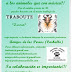 Traboute Solidarios!
