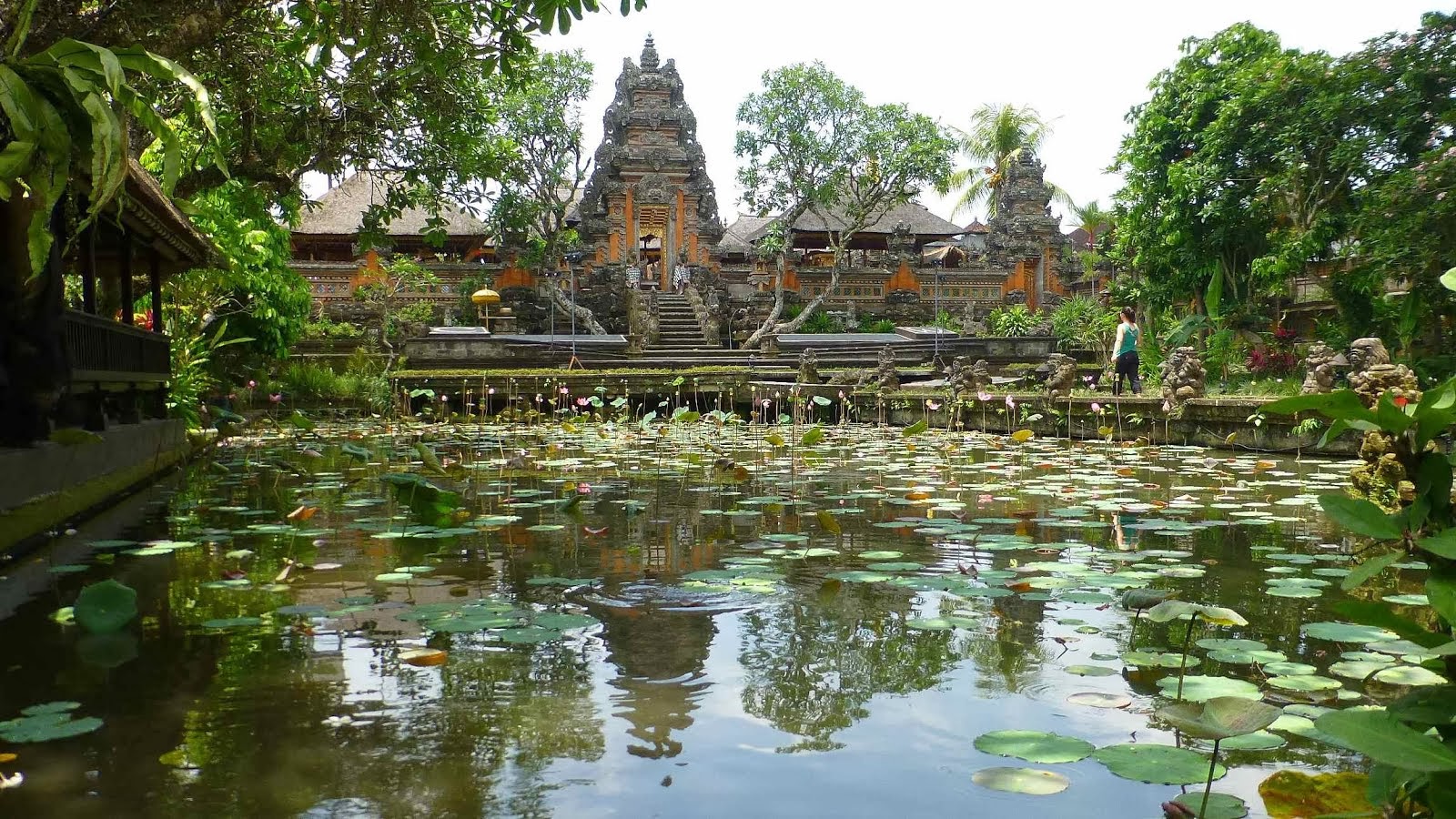 Jardin de Lotus à Ubud