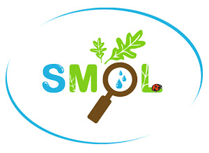 SMOL-logo