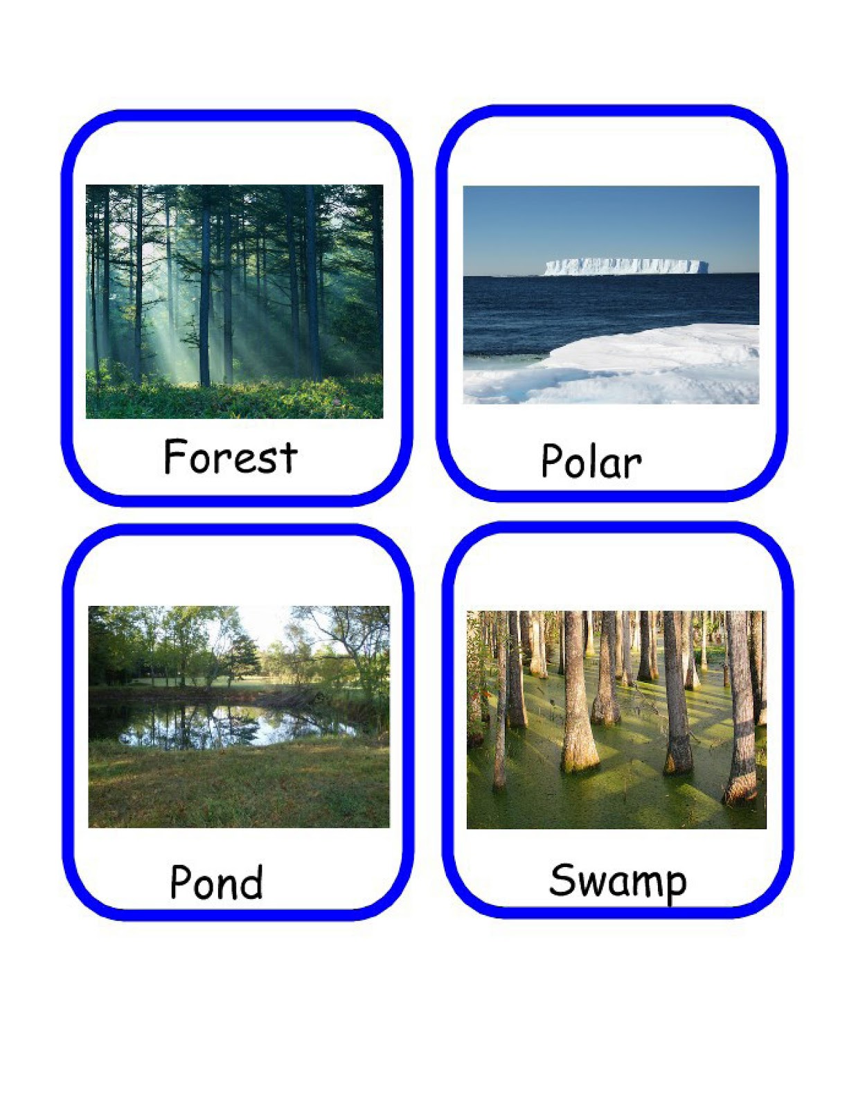 Primary Pickins: Animal Habitats Sorting Activity Primary