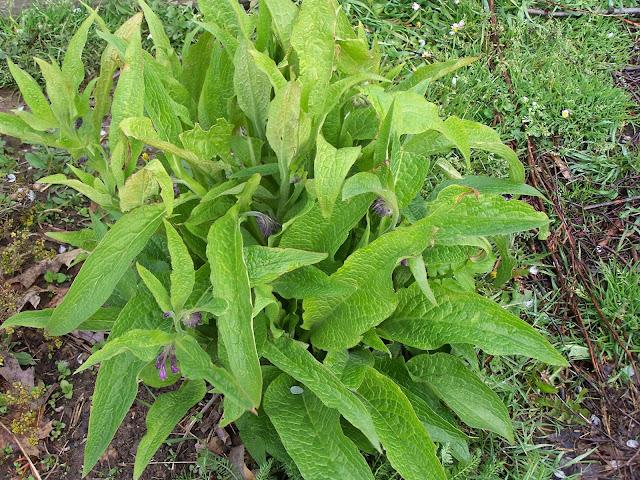 site de rencontres nature