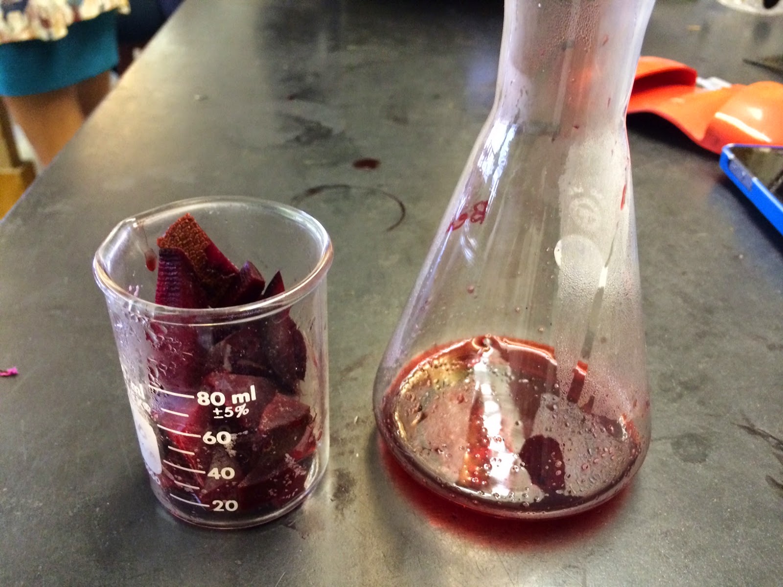 The Art of Teaching Science: Plant Pigments and pH