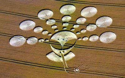Alien+ET+Smoking+Pipe+Crop+Circle+Cherhill+White+Horse+Wiltshire+27th+July+2011.jpg