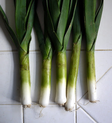 baby spring leeks