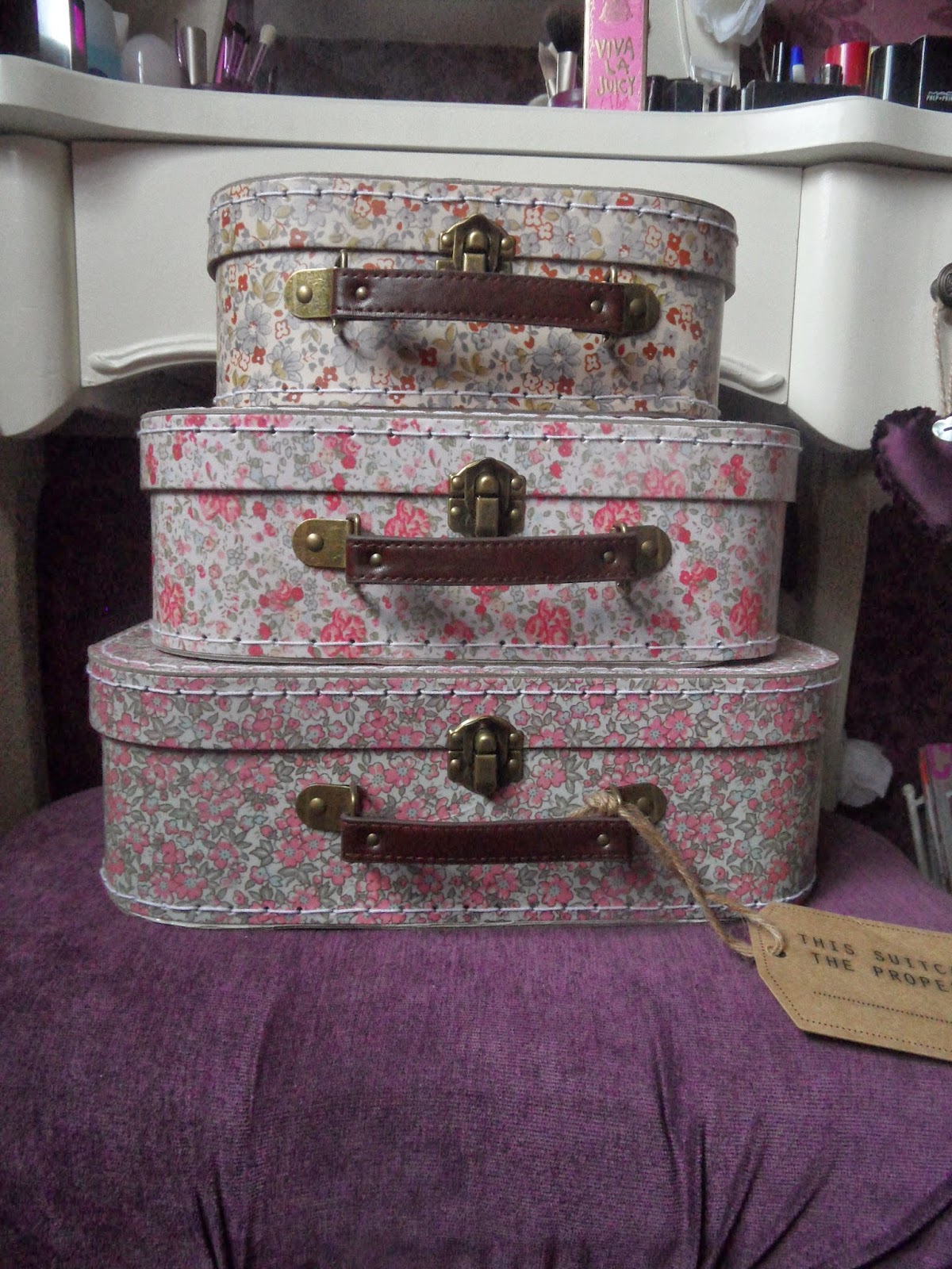 Sass Belle Happy Cactus Suitcase Shopee Singapore