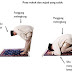 Kelebihan Rukuk dan Sujud