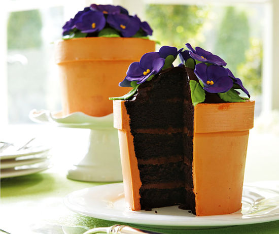 flower-pot-cake.jpg
