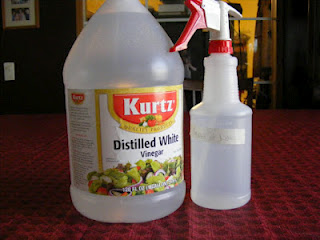 How To Get Stains Off Your Toilet Bowl